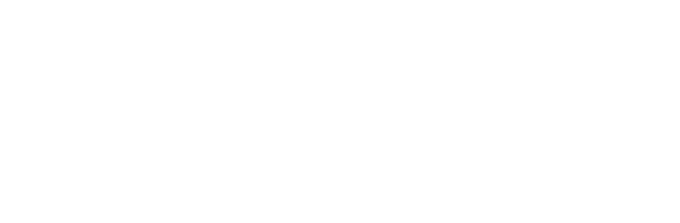 Shelso Enterprises - Digital Agency